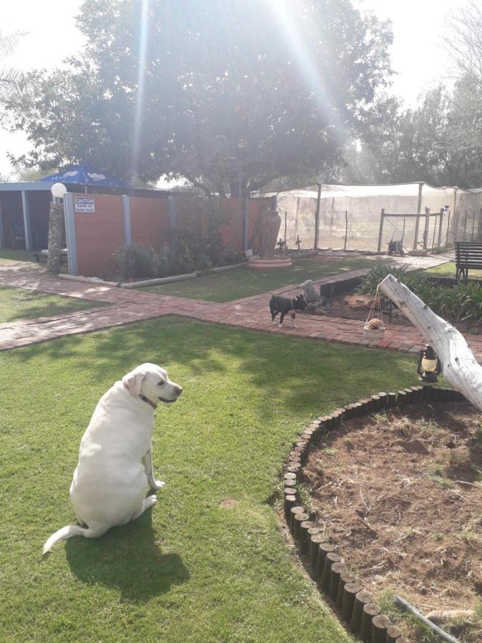 Culdesac Guesthouse Oudtshoorn Esterno foto